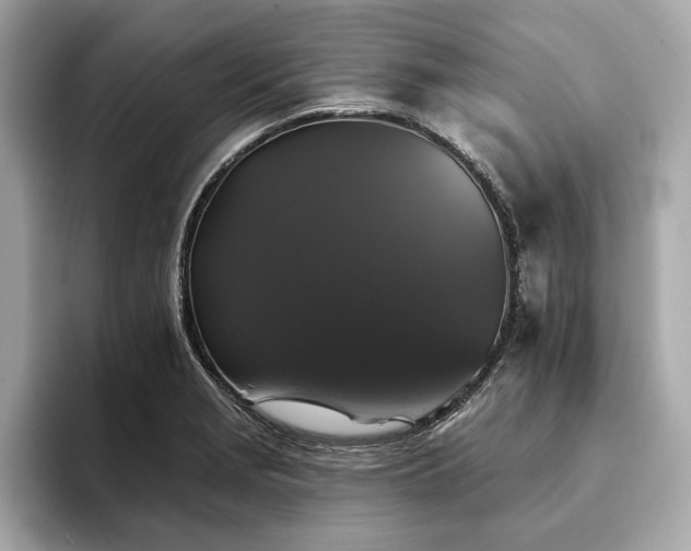 X0000093741229200710161133