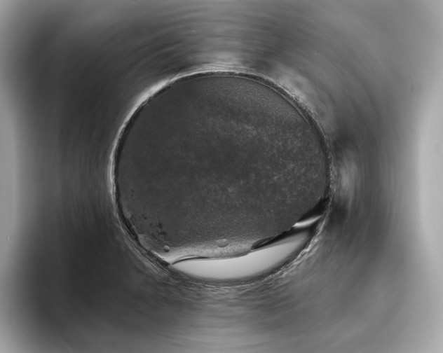 X0000093741230200710161133