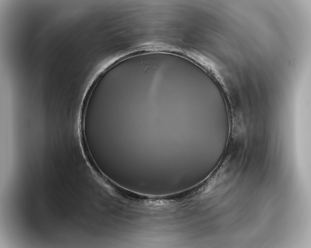 X0000093741231200710161133