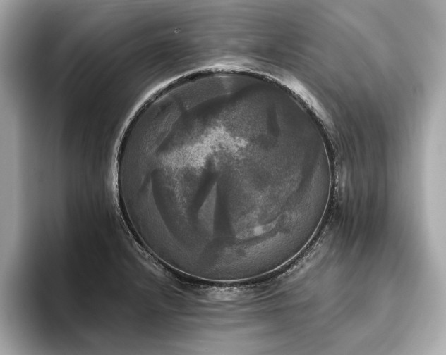 X0000093741232200710161133