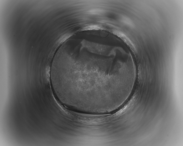 X0000093741233200710161133