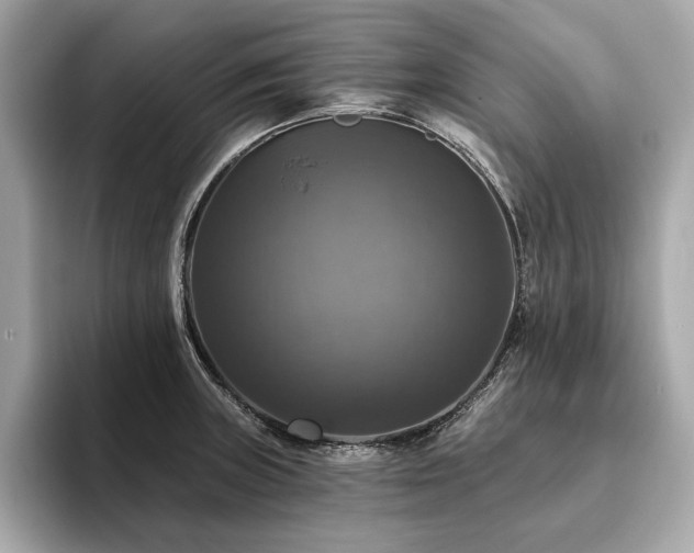 X0000093741235200710161133