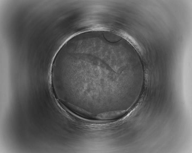 X0000093741236200710161133