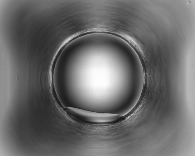 X0000093741238200710161133