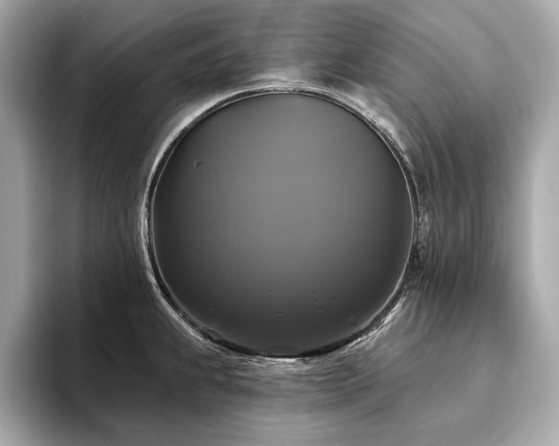 X0000093741239200710161133