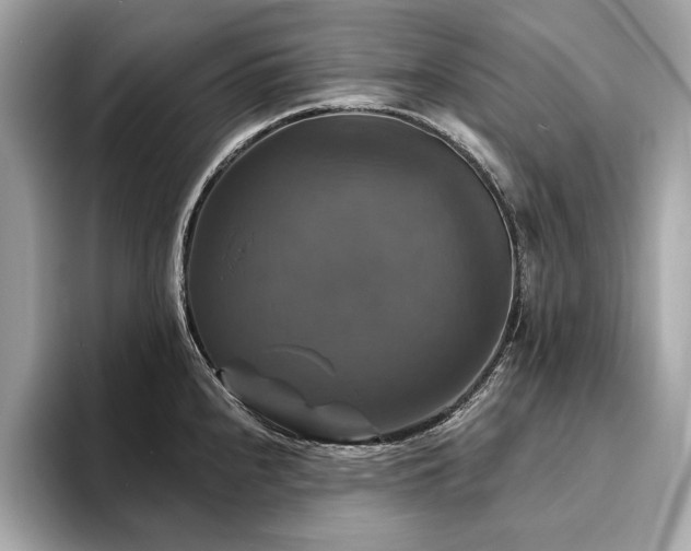 X0000093741240200710161133