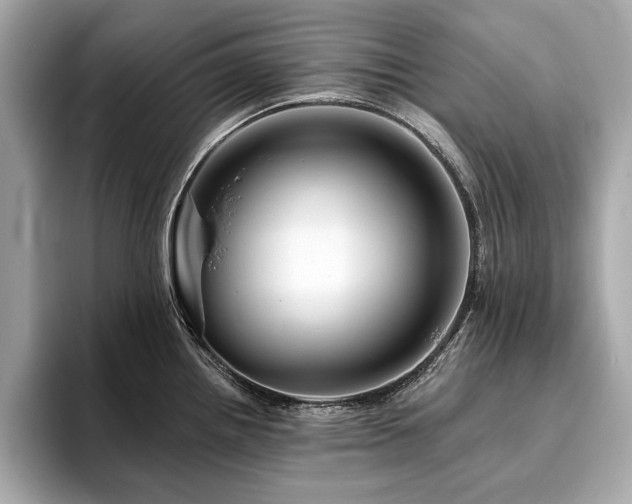 X0000093741242200710161133