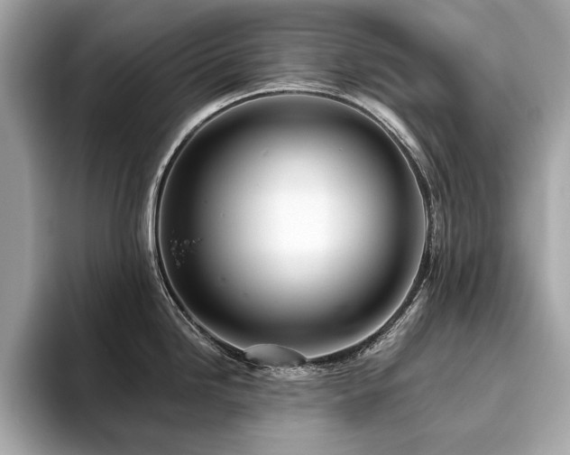 X0000093741246200710161133