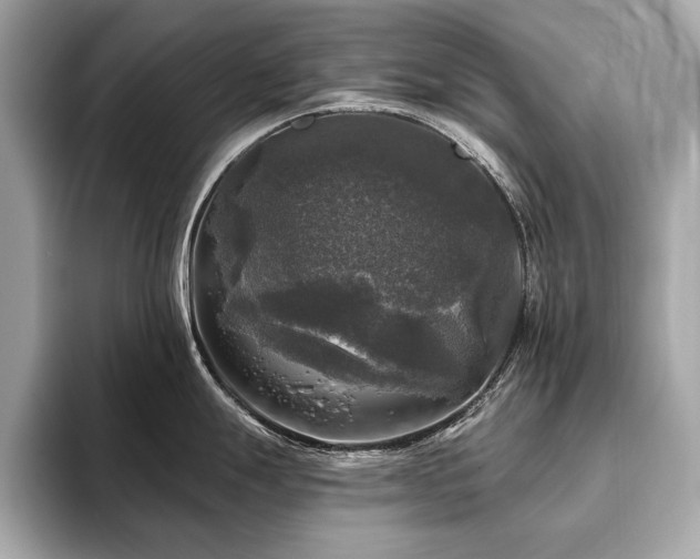 X0000093741247200710161133