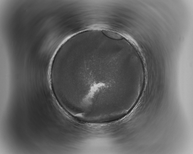 X0000093741248200710161133