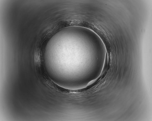 X0000093741250200710161133