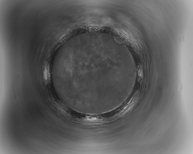 X0000093741252200710161132