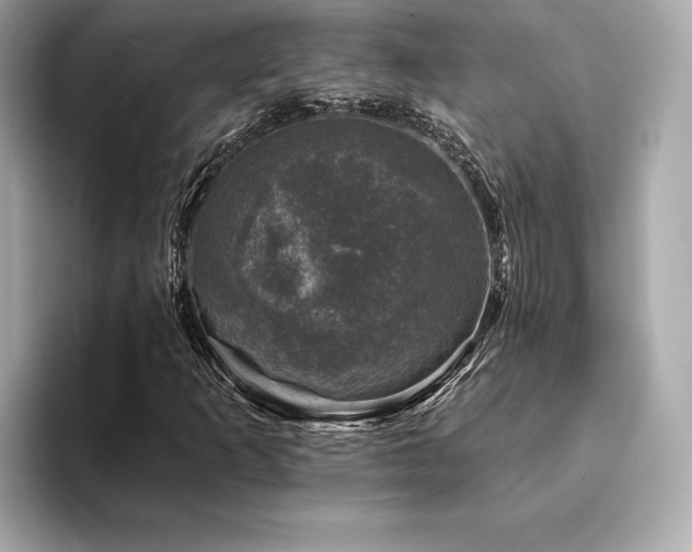 X0000093741253200710161132