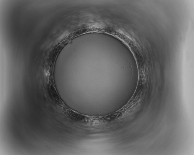 X0000093741254200710161132