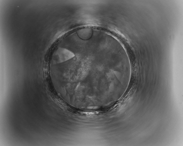 X0000093741255200710161132