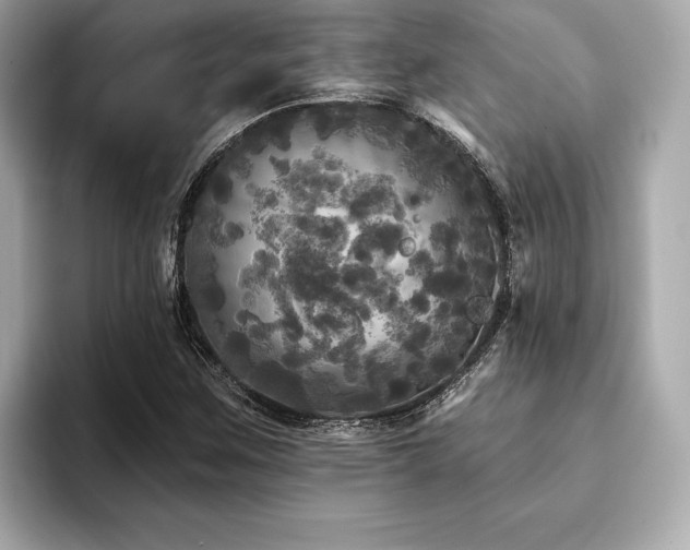 X0000093741259200710161132