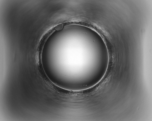 X0000093741262200710161132