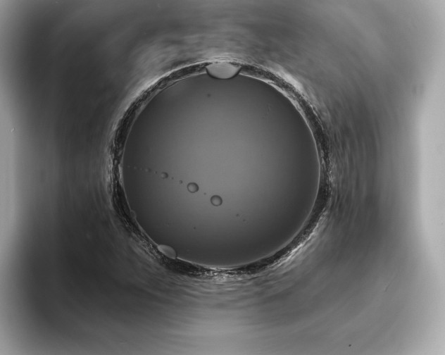 X0000093741263200710161132