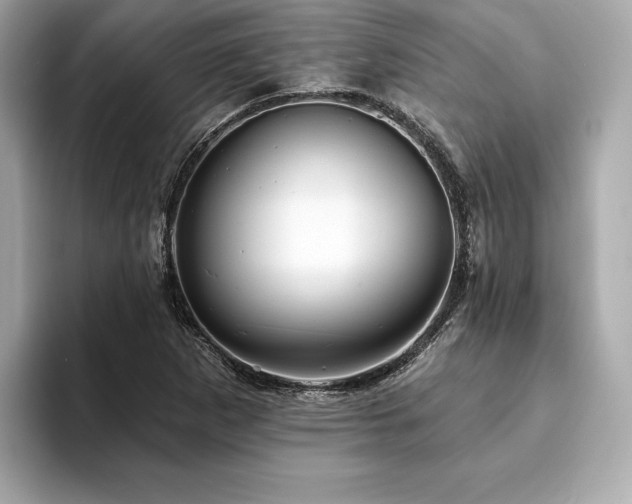 X0000093741265200710161132