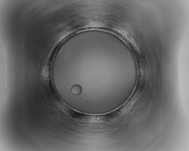 X0000093741266200710161132