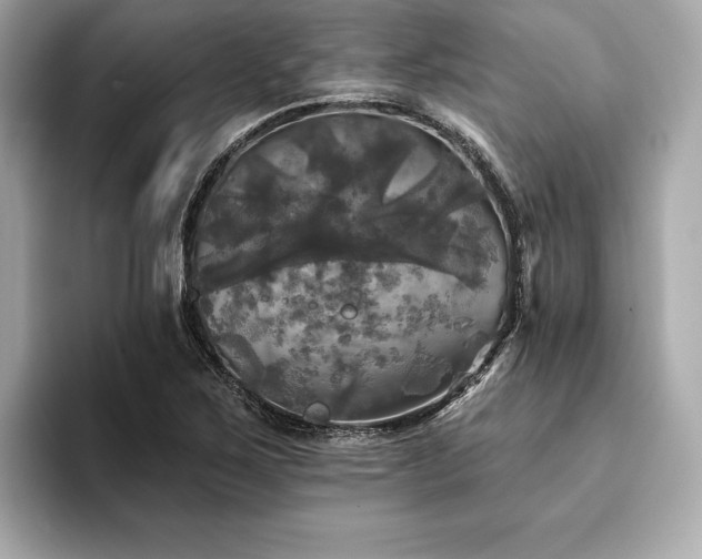 X0000093741267200710161132