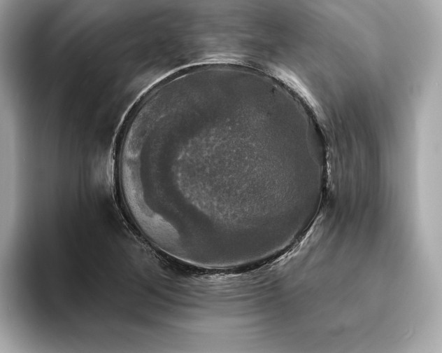 X0000093741268200710161132