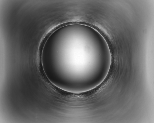 X0000093741270200710161132