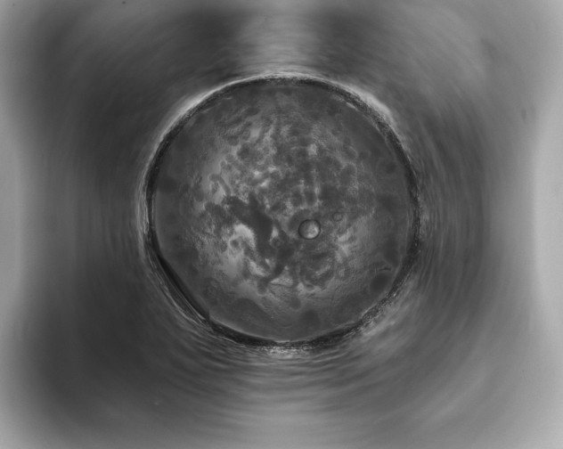 X0000093741271200710161132