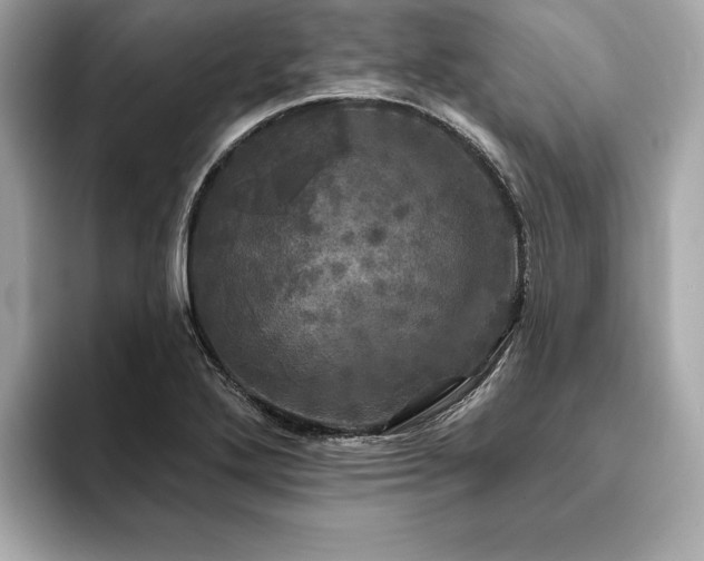 X0000093741272200710161132