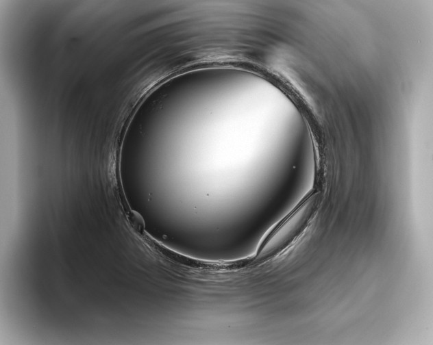 X0000093741273200710161132