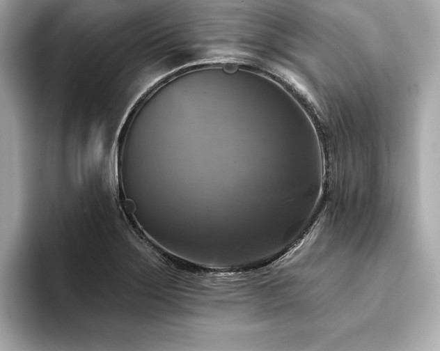 X0000093741275200710161132