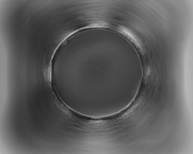 X0000093741276200710161132