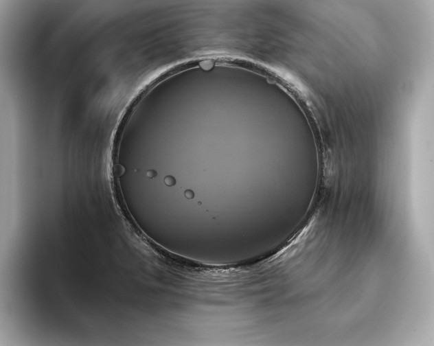 X0000093741279200710161132