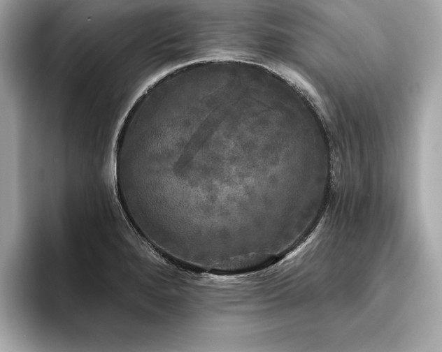 X0000093741280200710161132