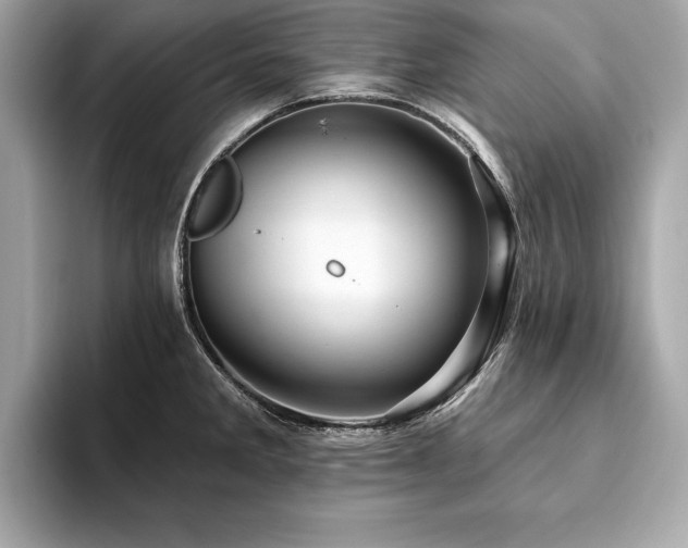 X0000093741285200710161132