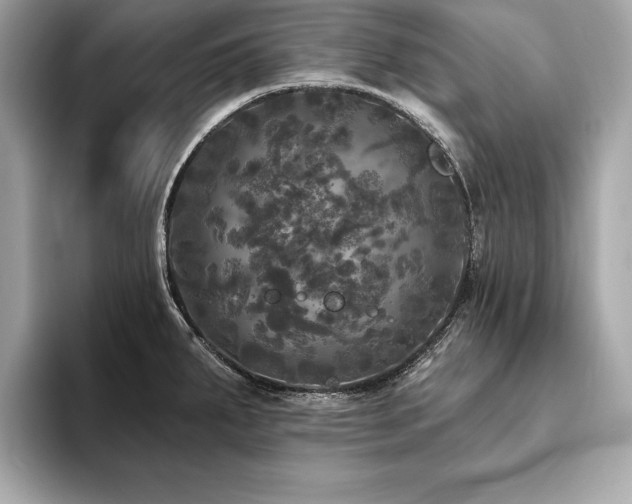 X0000093741287200710161132