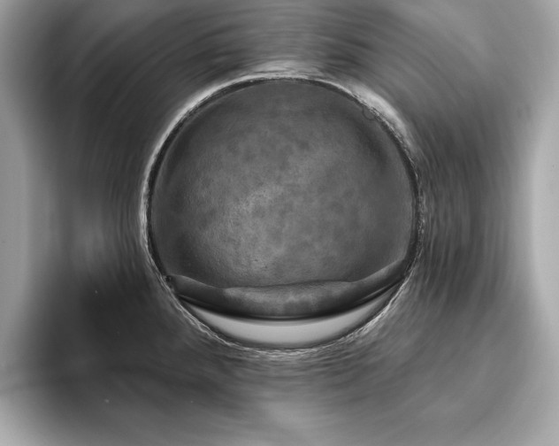 X0000093741288200710161132