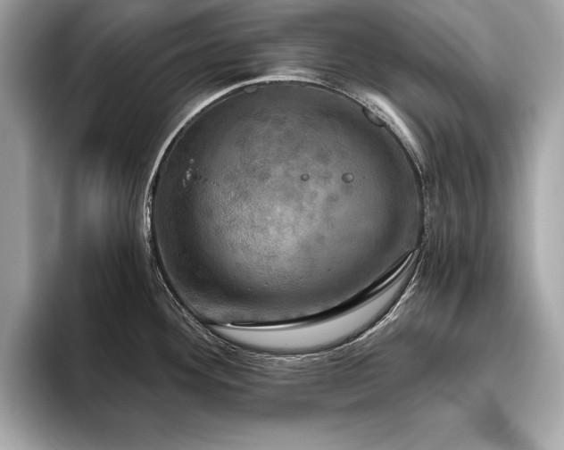 X0000093741292200710161132