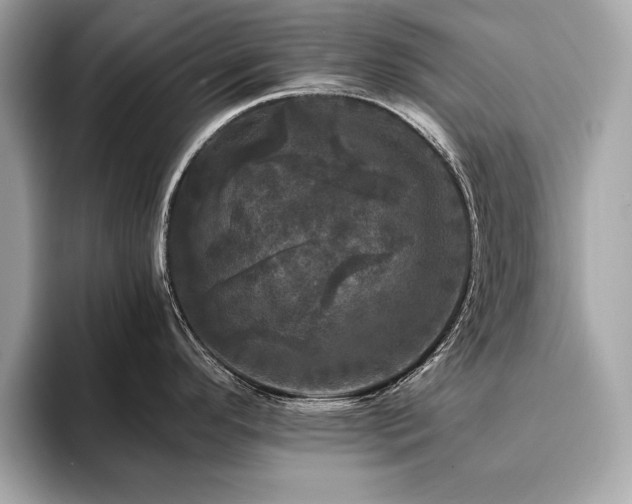 X0000093741296200710161132