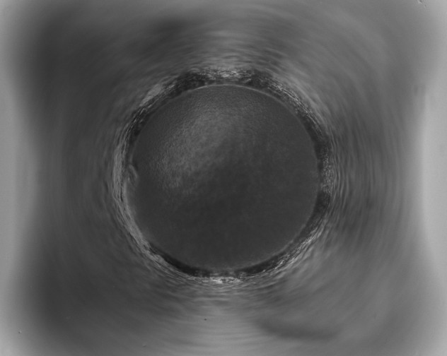 X0000093741297200710161131