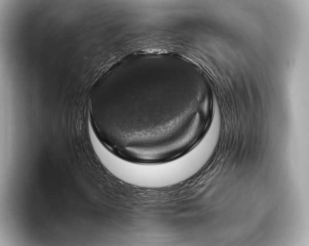 X0000093741298200710161131