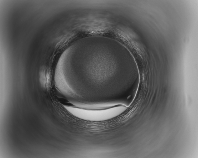 X0000093741300200710161131