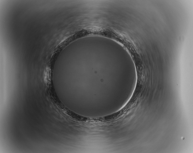 X0000093741301200710161131