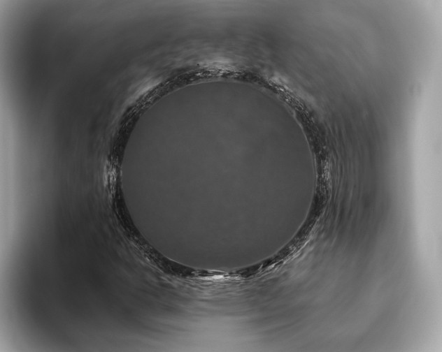 X0000093741302200710161131