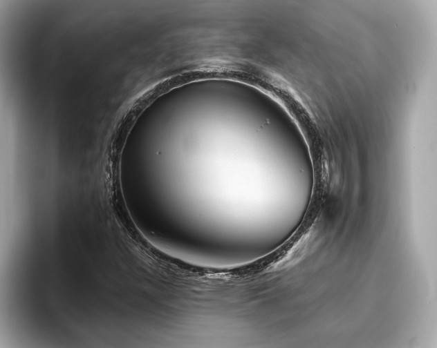 X0000093741304200710161131