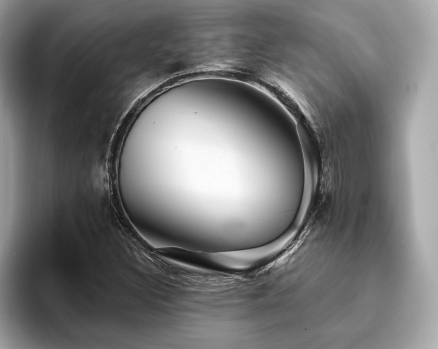 X0000093741308200710161132