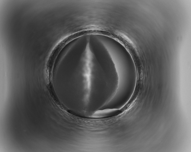 X0000093741310200710161132