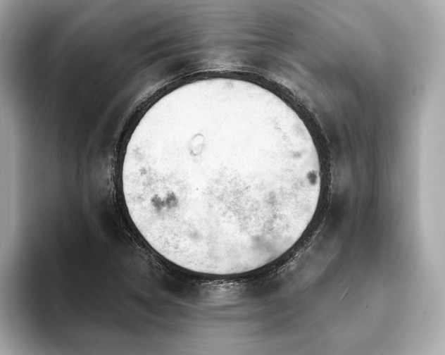 X0000093741314200710161132