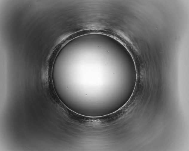 X0000093741315200710161132
