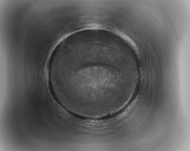 X0000093741318200710161132
